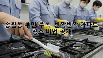 송월동 주민 주목! ✨ 반짝반짝 아파트 청소 비법 공개!